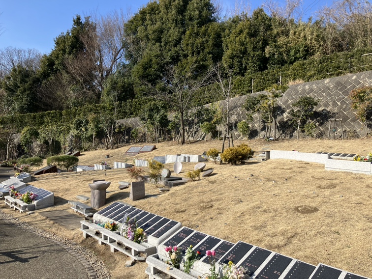 樹木葬墓地　桜の里　桜小径イメージ