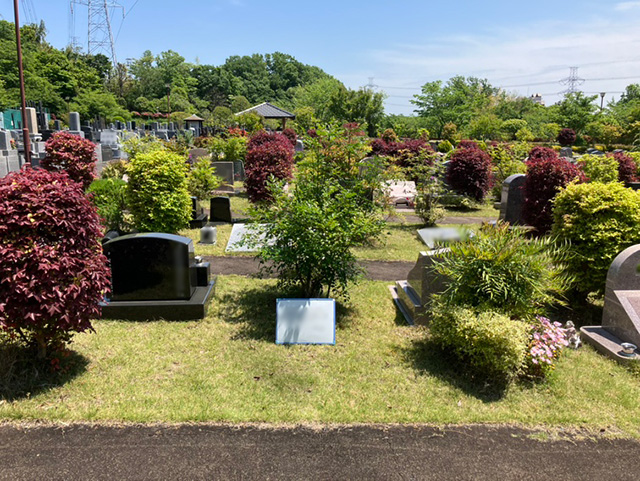 WG芝40-37-9　2.8㎡イメージ