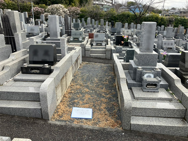 6-6-24　2.5㎡イメージ